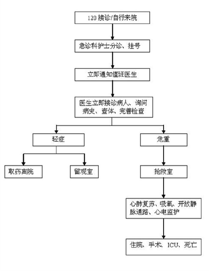 急診服務(wù)流程.JPG