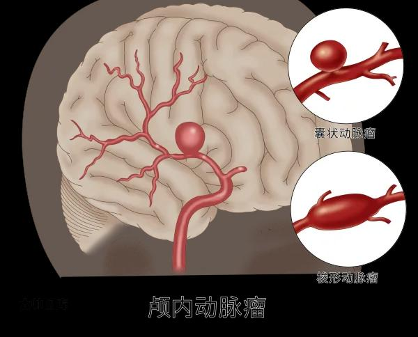 圖片1.png 圖片1.png